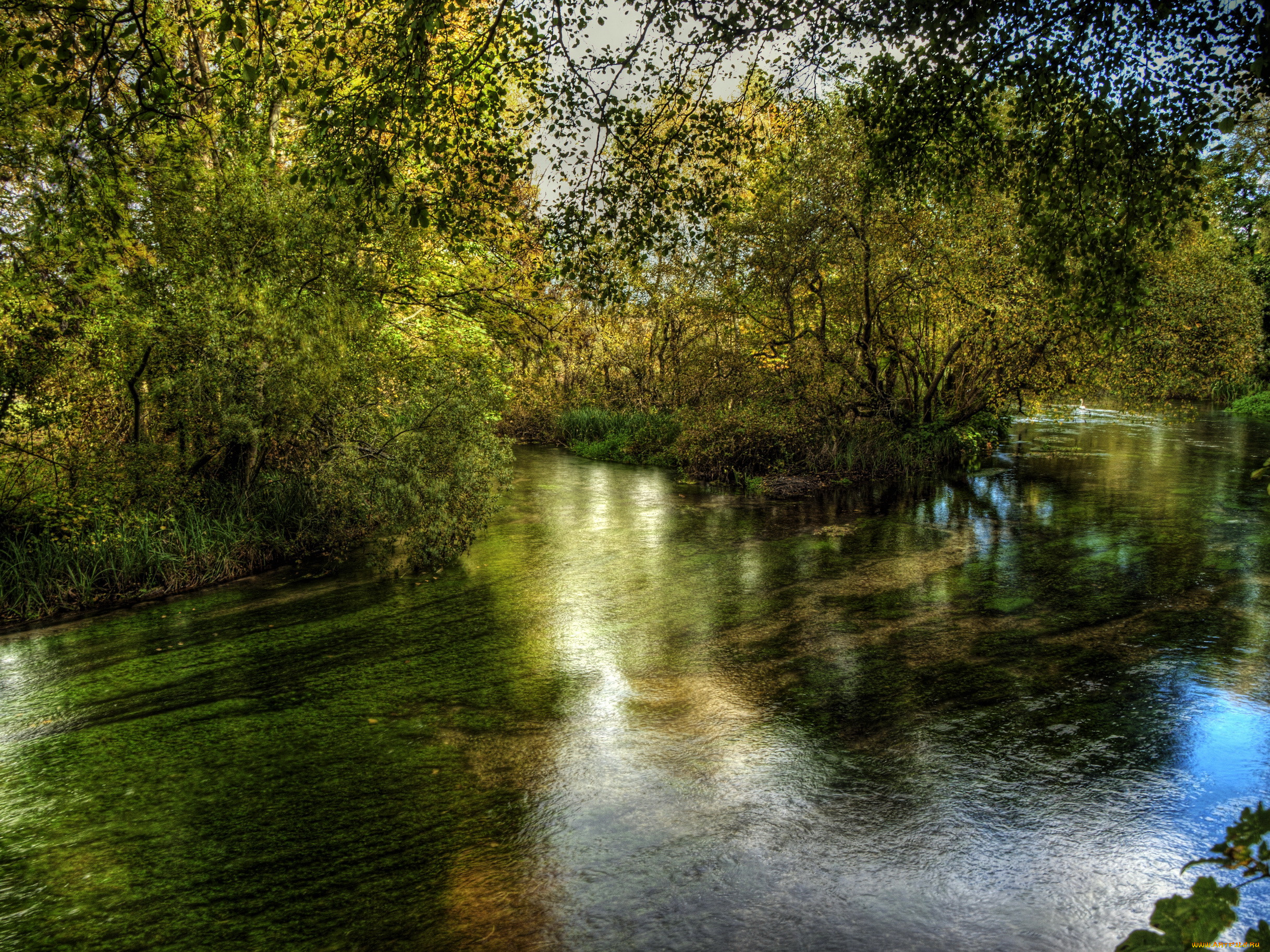 river, itchen, hampshire, , , , , , 